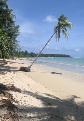 Picture of Coconut beach in Khao Kak