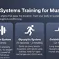 Khao Lak Muay Thai - Energy Systems Training for Muay Thai: Build a Relentless Engine That Goes the Distance