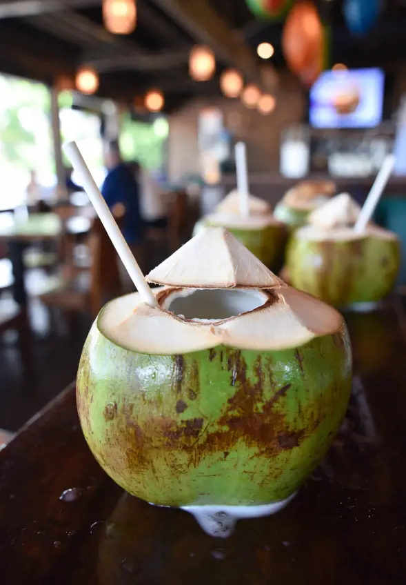 Fresh Young Coconut at a restaurant in Khao Lak